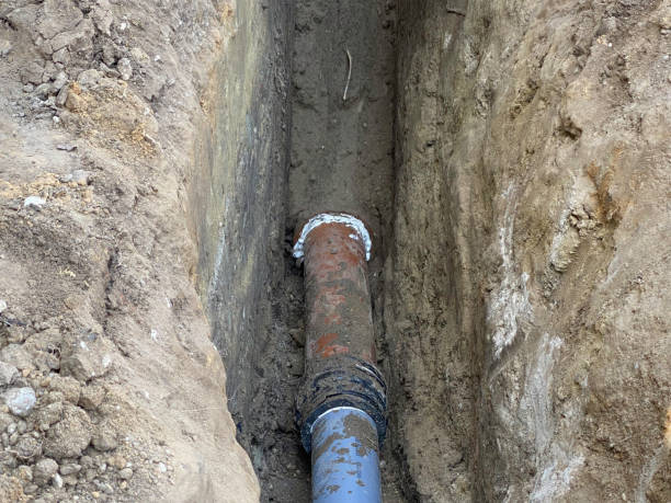 Best Professional water damage repair  in Sun Prairie, WI