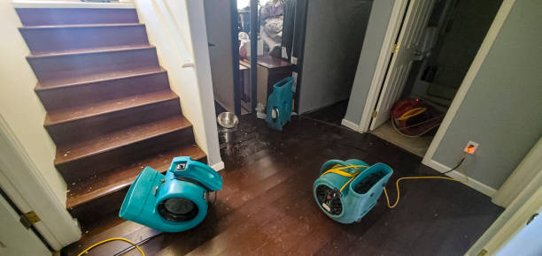 Best Mold removal after water damage  in Sun Prairie, WI