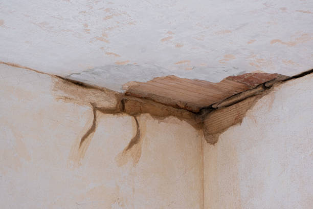 Best Flood damage cleanup  in Sun Prairie, WI