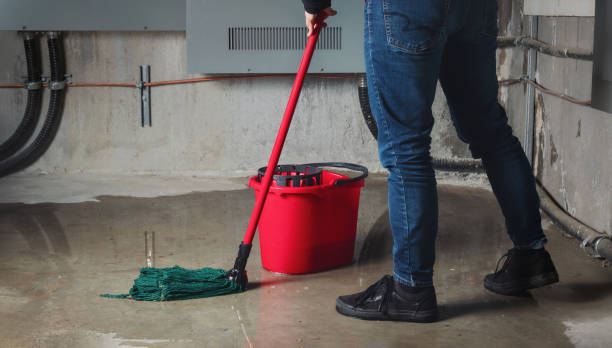 Best Basement water damage restoration  in Sun Prairie, WI