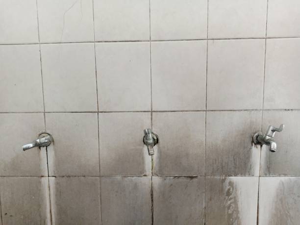 Best Flooded house restoration  in Sun Prairie, WI