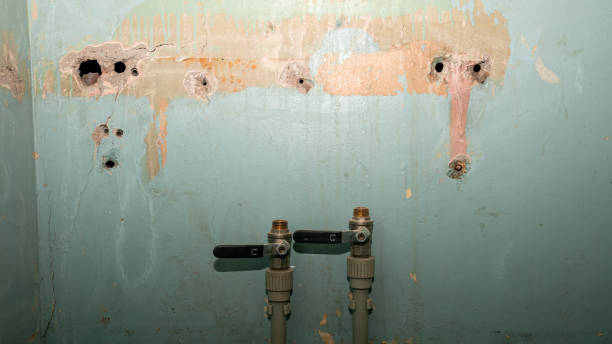 Best Water damage restoration near me  in Sun Prairie, WI