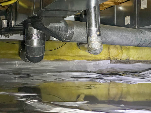 Best Water damage cleanup near me  in Sun Prairie, WI