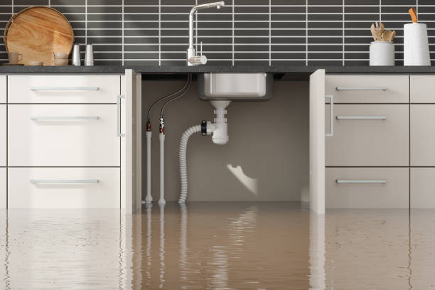 Best Carpet water damage restoration  in Sun Prairie, WI